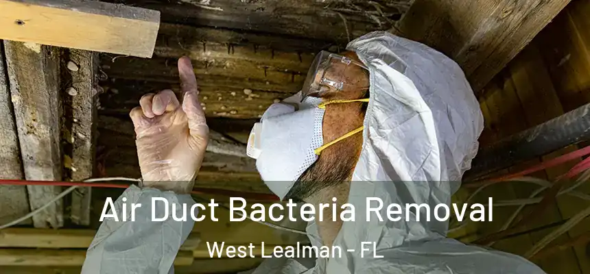 Air Duct Bacteria Removal West Lealman - FL