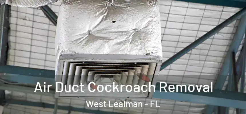 Air Duct Cockroach Removal West Lealman - FL