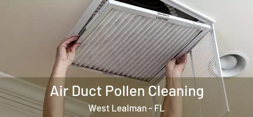 Air Duct Pollen Cleaning West Lealman - FL