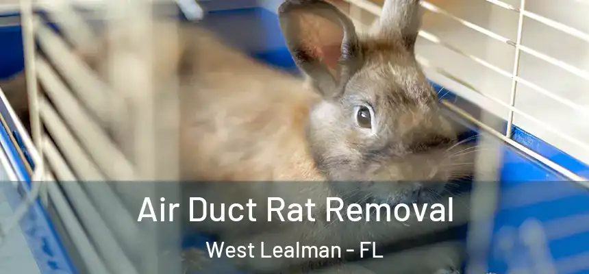 Air Duct Rat Removal West Lealman - FL
