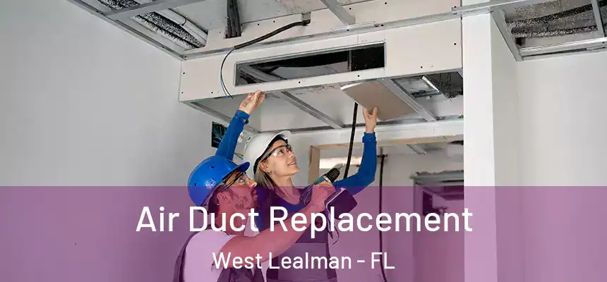 Air Duct Replacement West Lealman - FL