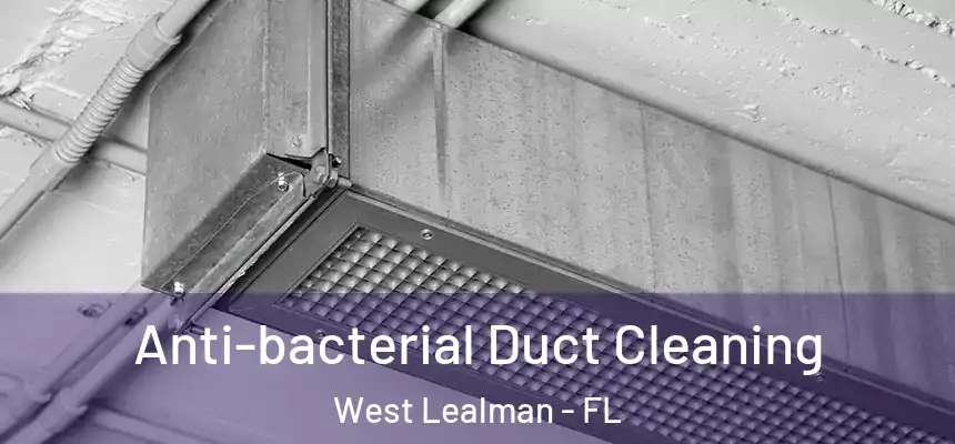 Anti-bacterial Duct Cleaning West Lealman - FL