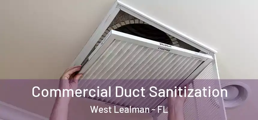 Commercial Duct Sanitization West Lealman - FL