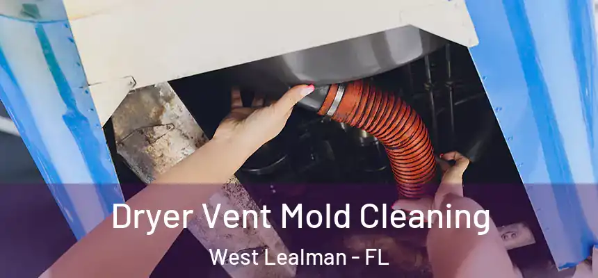 Dryer Vent Mold Cleaning West Lealman - FL