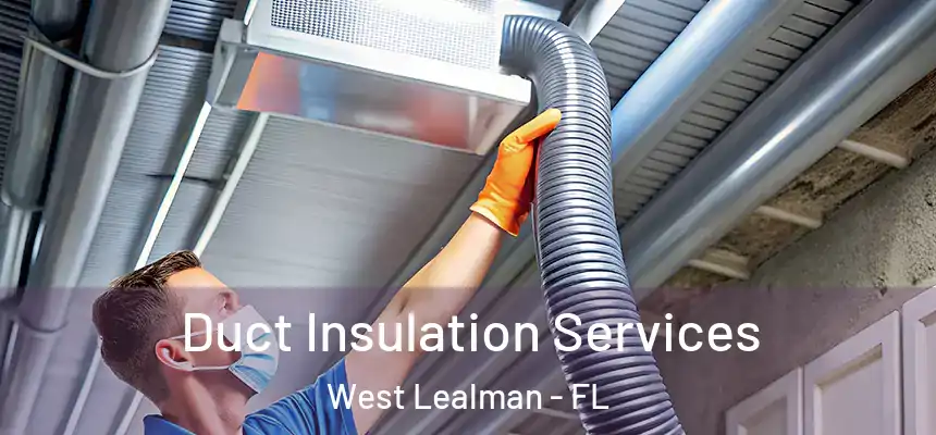 Duct Insulation Services West Lealman - FL