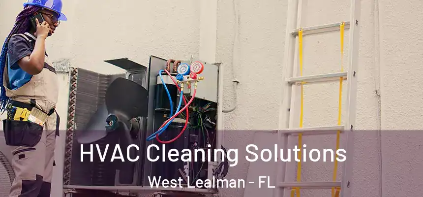 HVAC Cleaning Solutions West Lealman - FL