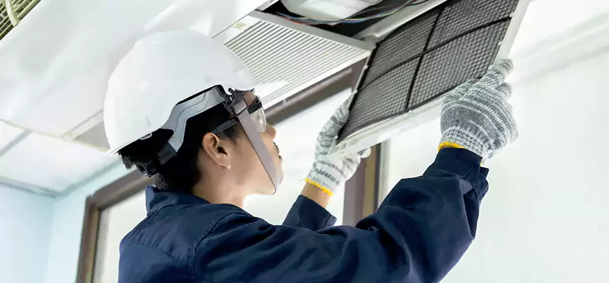 Our Mold & Mildew Removal from Air Ducts Services in West Lealman, FL