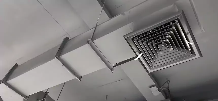 Our Pest Removal From Ducts Services in West Lealman, FL