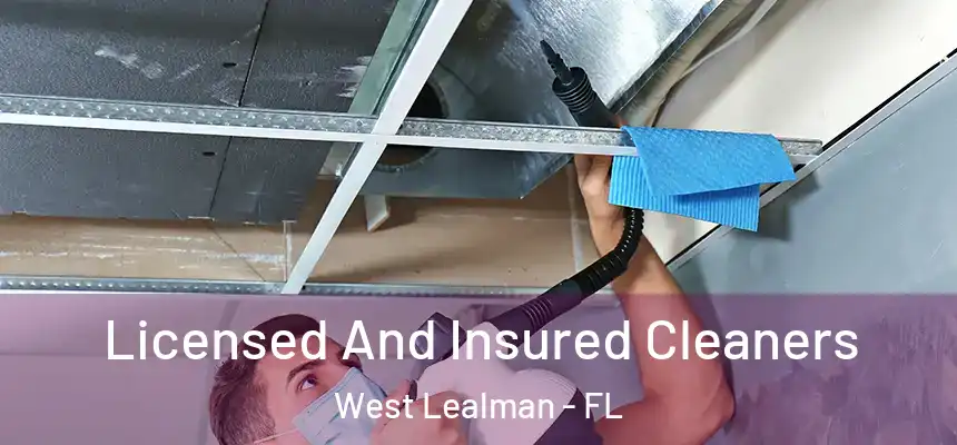Licensed And Insured Cleaners West Lealman - FL