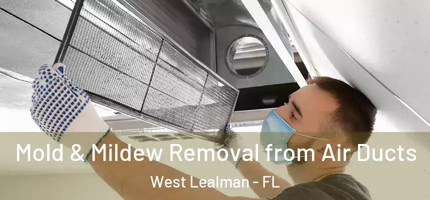 Mold & Mildew Removal from Air Ducts West Lealman - FL