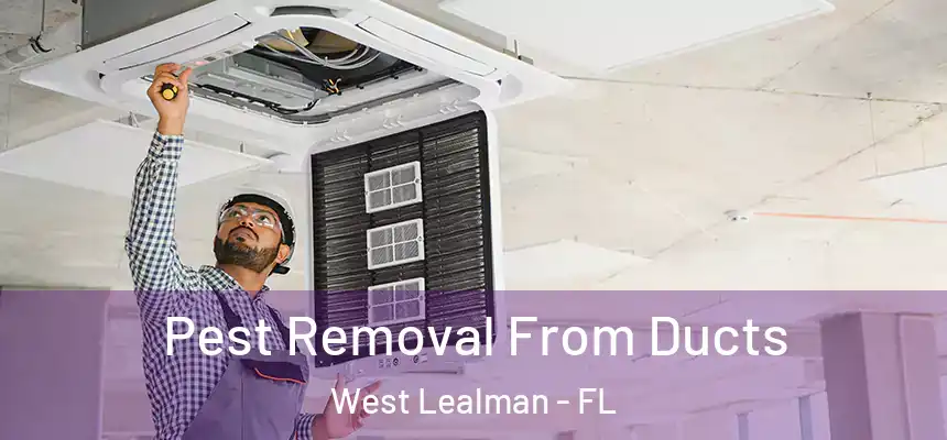 Pest Removal From Ducts West Lealman - FL