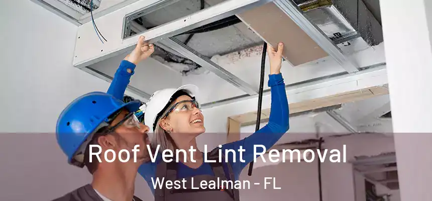 Roof Vent Lint Removal West Lealman - FL
