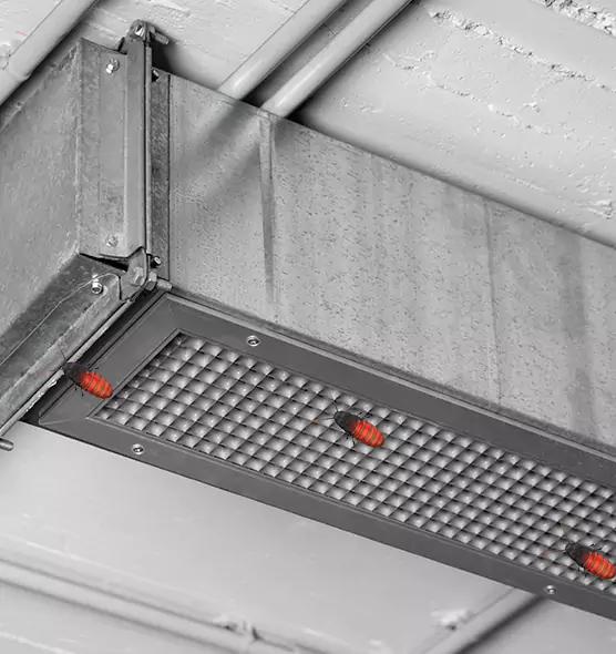About Air Duct Cockroach Removal in West Lealman, FL