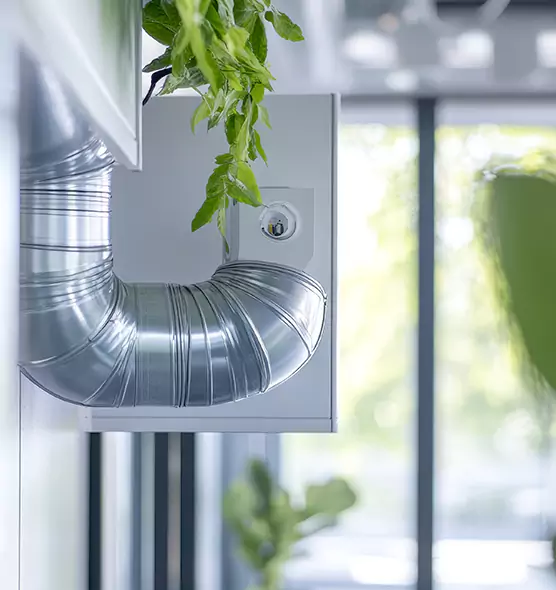 Professional Eco-Friendly Duct Cleaning Services in West Lealman, FL