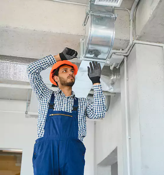 Affordable Lint Buildup Removal in West Lealman, FL