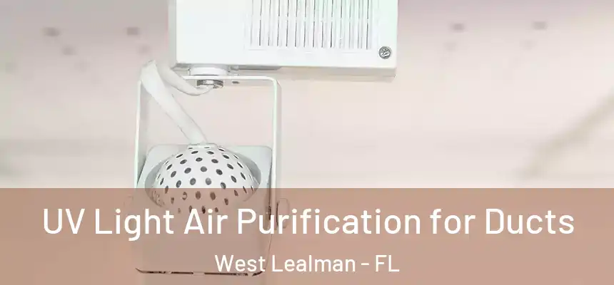 UV Light Air Purification for Ducts West Lealman - FL